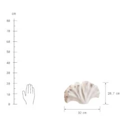 Deko-Objekt Blatt Höhe 21cm GINKGO In Creme -Garten - Balkon Store butlers deko objekt blatt hohe 21cm ginkgo in creme 3