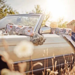 Picknickdecke L 175 X B 154cm BETWEEN FLOWERS In Creme 25 Picknickdecke L 175 X B 154cm BETWEEN FLOWERS In Creme -Garten - Balkon Store butlers picknickdecke l 175 x b 154cm between flowers in creme 11