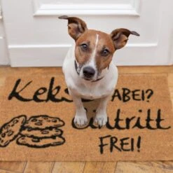 Fußmatte Kekse Dabei? Eintritt Frei! In Natur/Schwarz - 40 X 60 Cm 13 Fußmatte Kekse Dabei? Eintritt Frei! In Natur/Schwarz - 40 X 60 Cm -Garten - Balkon Store relaxdays fussmatte kekse dabei eintritt frei in natur schwarz 40 x 60 cm 4