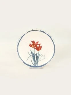 24tlg. Kombiservice In Creme/ Bunt -Garten - Balkon Store violeta home 24tlg kombiservice in creme bunt 5